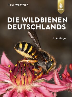 cover image of Die Wildbienen Deutschlands